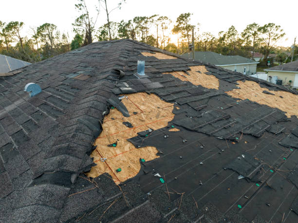 Best Roof Insulation Installation  in Lebanon, OH